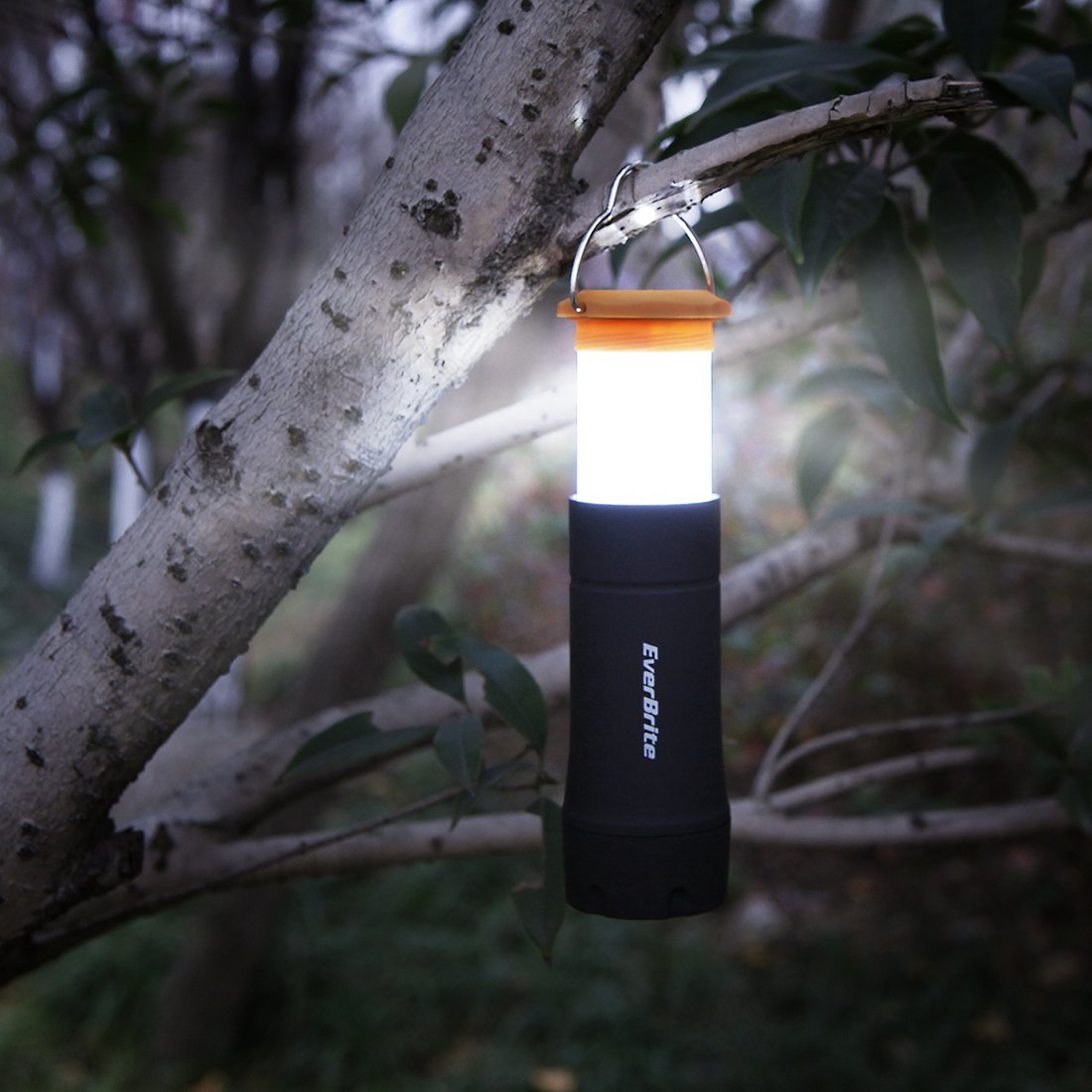 EverBrite 2-in-1 Mini Lanterns and Flashlights with 3 Modes, 2 Pack Portable Outdoor LED Zoomable Torches, Camping Essentials for Hurricane, Hiking, Night Walking, Emergency, Outdoor Lights - Image 7