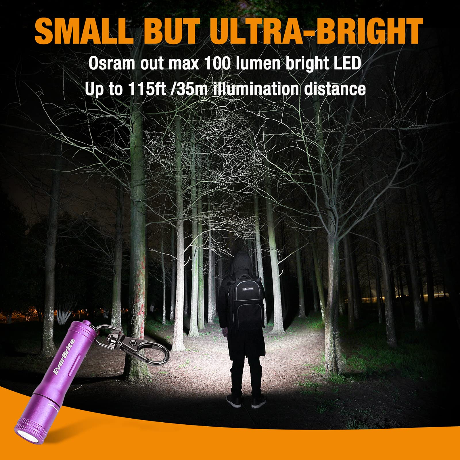 EverBrite Keychain LED Flashlight Mini Bright Key Ring Portable Pocket Torch for EDC, Party Favors, Night Reading, Camping, Power Outage, Emergency, AAA Battery Included, Purple - Image 4