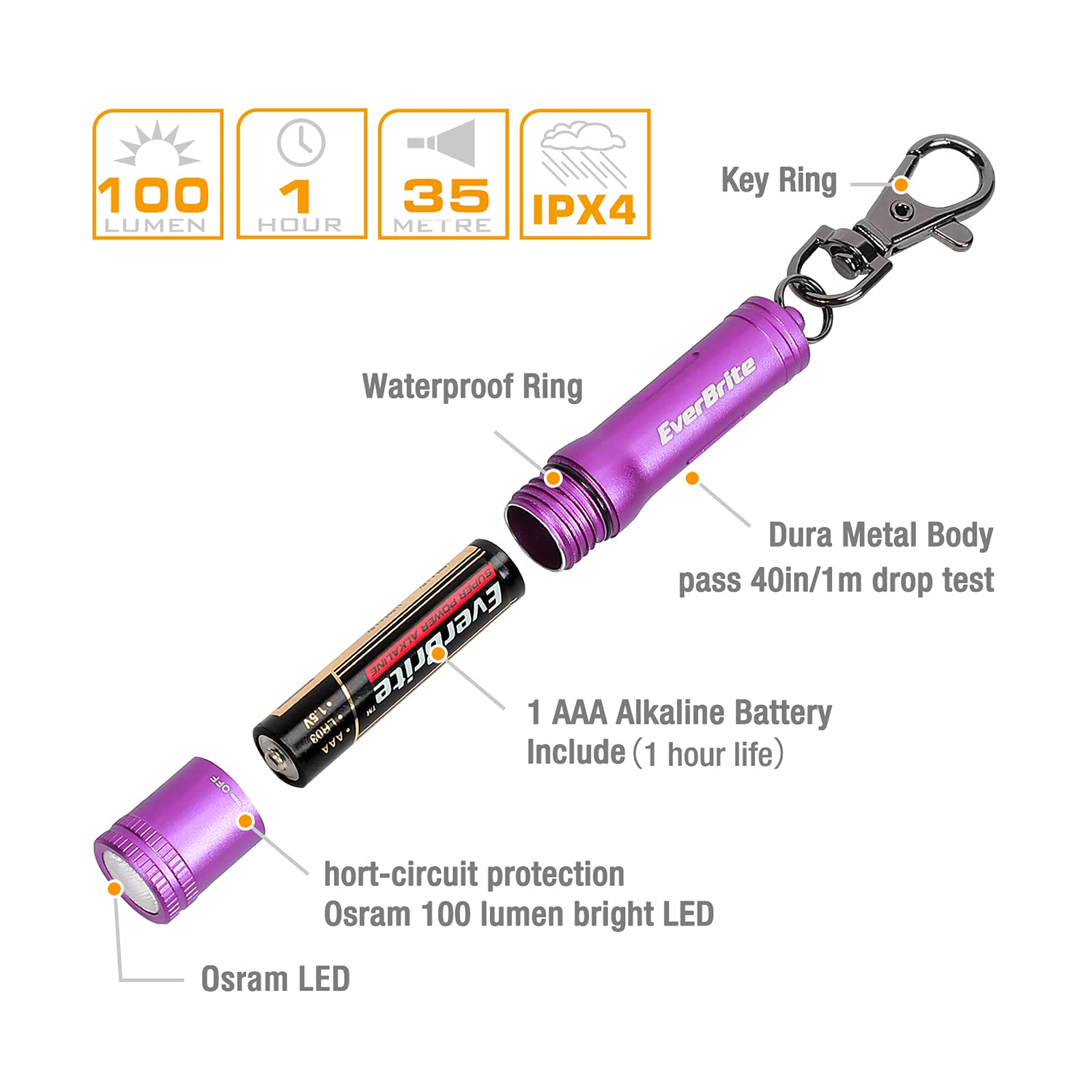 EverBrite Keychain LED Flashlight Mini Bright Key Ring Portable Pocket Torch for EDC, Party Favors, Night Reading, Camping, Power Outage, Emergency, AAA Battery Included, Purple - Image 7