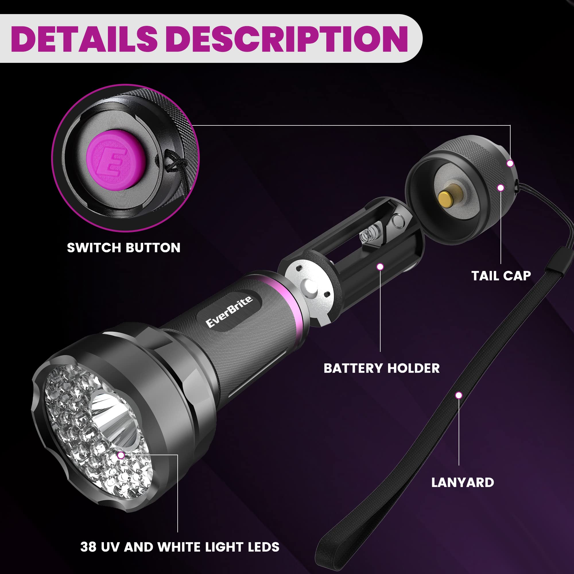 EverBrite LED Flashlight, Multifunctional Flashlight with UV and White Light, 395nm Black Light, 300 Lumens High Powered Flashlight for Camping, Emergencies, Pet Urine Stains, AA Batteries Included - Image 4