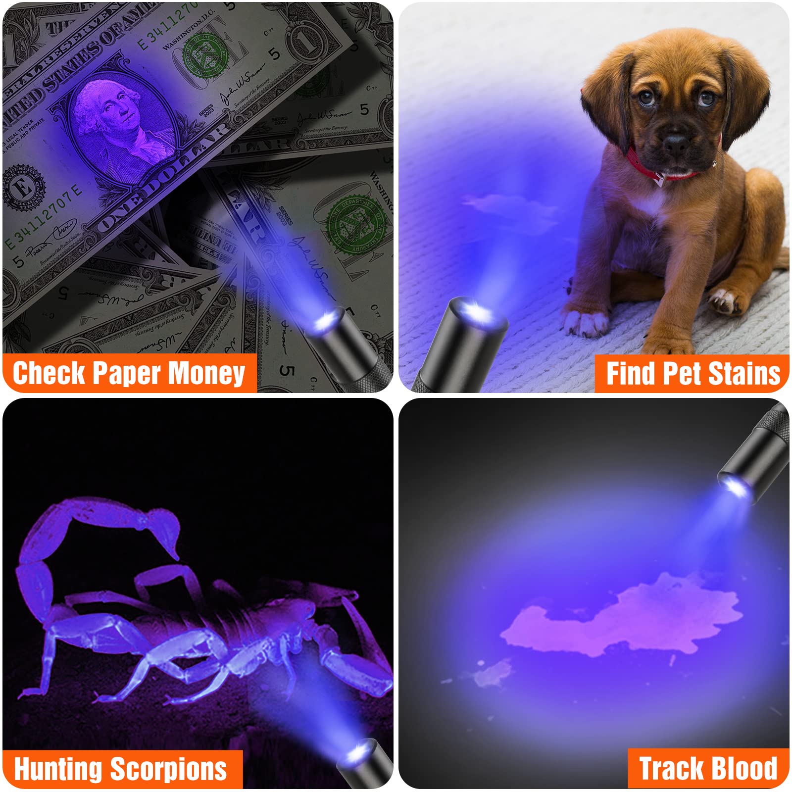 EverBrite Red Light Penlight Flashlight with 395nm UV Blacklight/White Light, Multi-Function LED Pocket Pen Light, AAA Batteries Included, for Night Vision, Pet Stain Detection, Camping, 2pack - Image 3